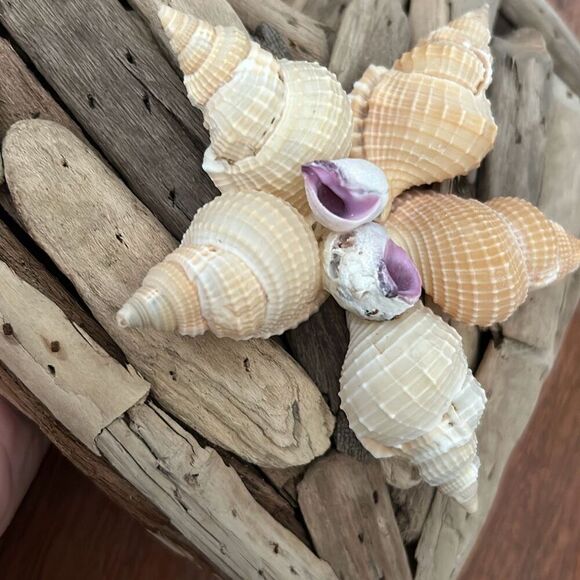 NEW handcrafted in the Philippines Driftwood and shell large heart decor bathroo - Picture 3 of 5